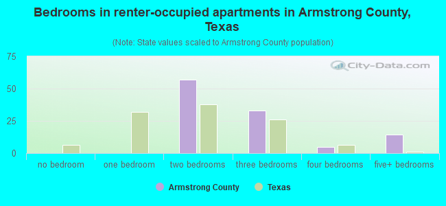 Bedrooms in renter-occupied apartments in Armstrong County, Texas