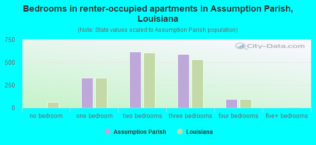 Bedrooms in renter-occupied apartments in Assumption Parish, Louisiana