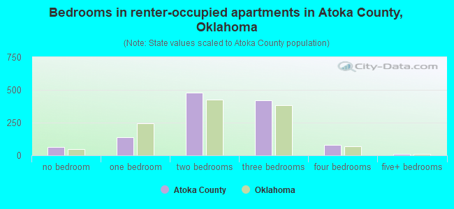 Bedrooms in renter-occupied apartments in Atoka County, Oklahoma