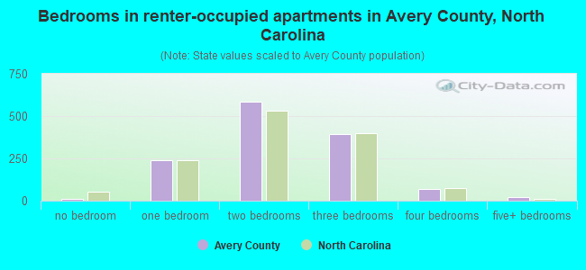 Bedrooms in renter-occupied apartments in Avery County, North Carolina