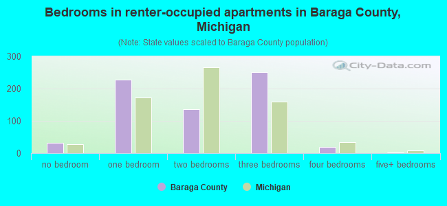 Bedrooms in renter-occupied apartments in Baraga County, Michigan
