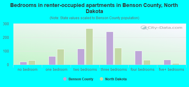 Bedrooms in renter-occupied apartments in Benson County, North Dakota