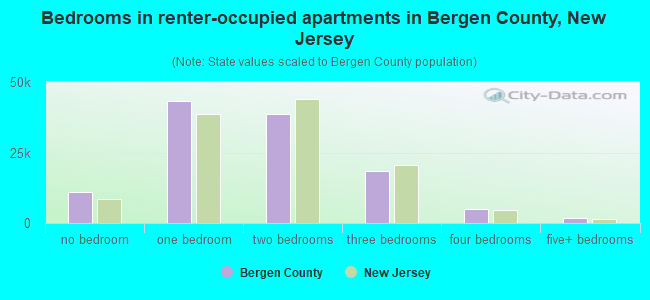 Bedrooms in renter-occupied apartments in Bergen County, New Jersey