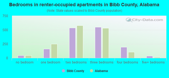 Bedrooms in renter-occupied apartments in Bibb County, Alabama