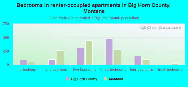 Bedrooms in renter-occupied apartments in Big Horn County, Montana
