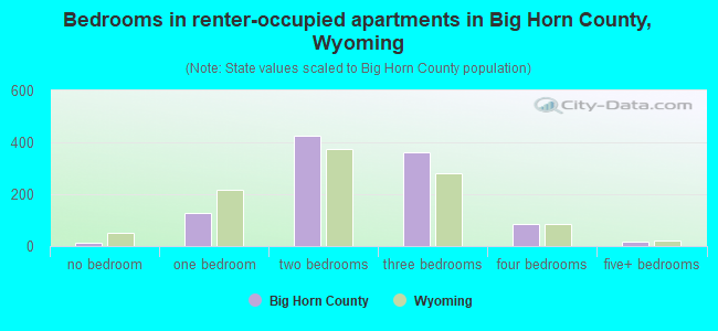 Bedrooms in renter-occupied apartments in Big Horn County, Wyoming