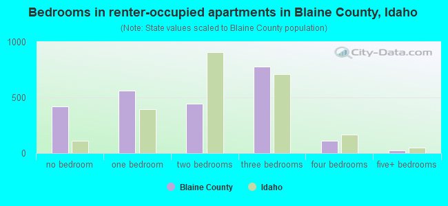 Bedrooms in renter-occupied apartments in Blaine County, Idaho
