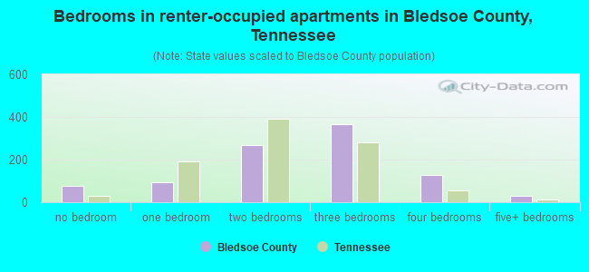 Bedrooms in renter-occupied apartments in Bledsoe County, Tennessee