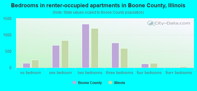 Bedrooms in renter-occupied apartments in Boone County, Illinois