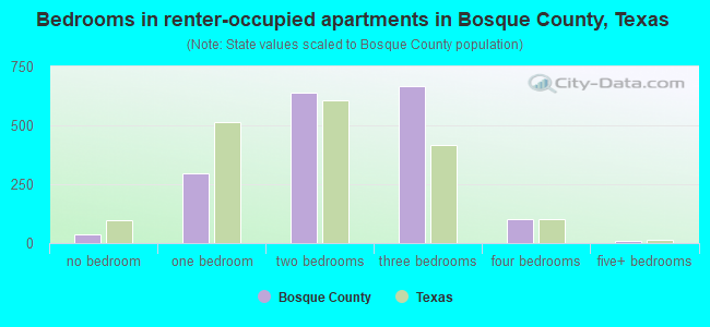 Bedrooms in renter-occupied apartments in Bosque County, Texas