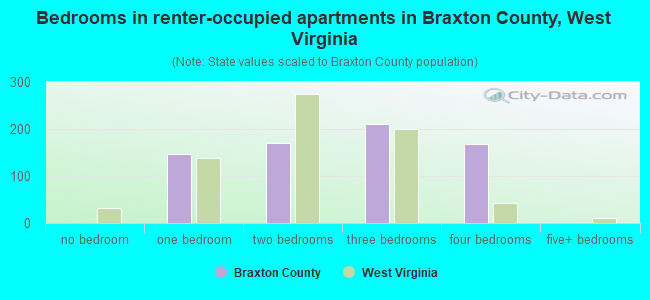 Bedrooms in renter-occupied apartments in Braxton County, West Virginia