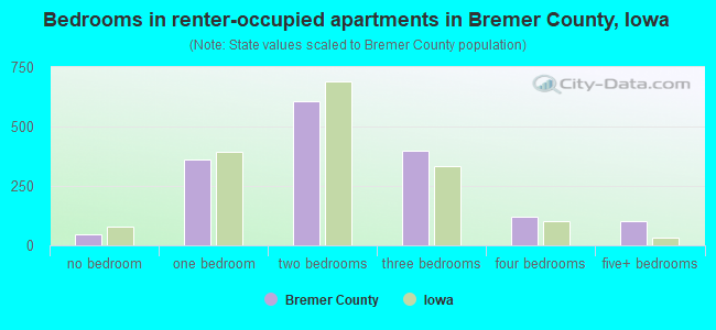Bedrooms in renter-occupied apartments in Bremer County, Iowa
