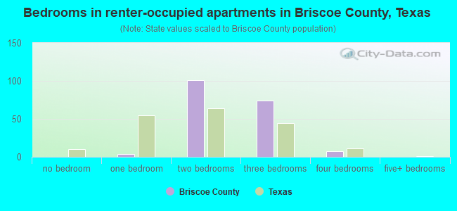 Bedrooms in renter-occupied apartments in Briscoe County, Texas