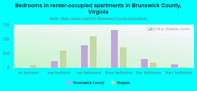 Bedrooms in renter-occupied apartments in Brunswick County, Virginia