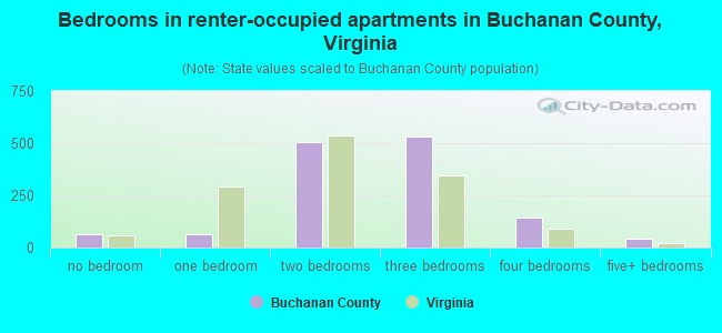 Bedrooms in renter-occupied apartments in Buchanan County, Virginia