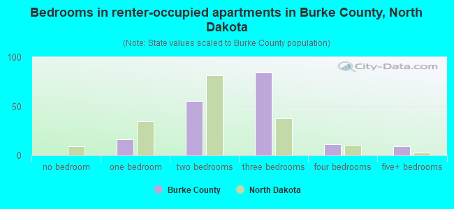 Bedrooms in renter-occupied apartments in Burke County, North Dakota