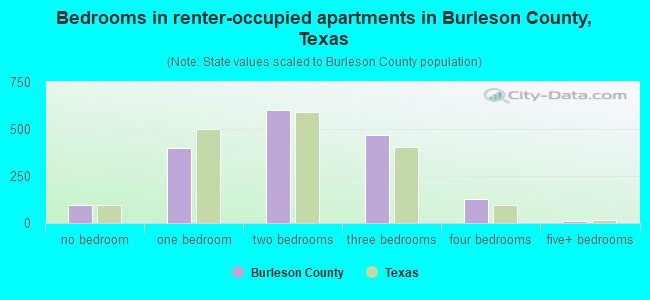 Bedrooms in renter-occupied apartments in Burleson County, Texas