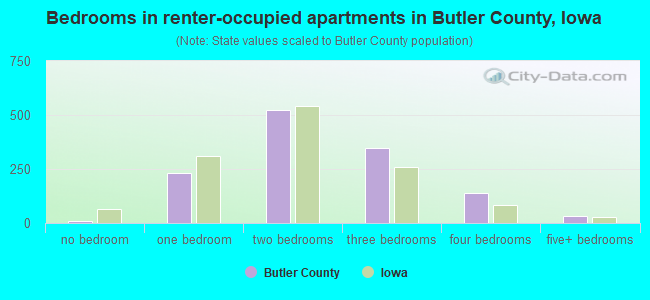 Bedrooms in renter-occupied apartments in Butler County, Iowa