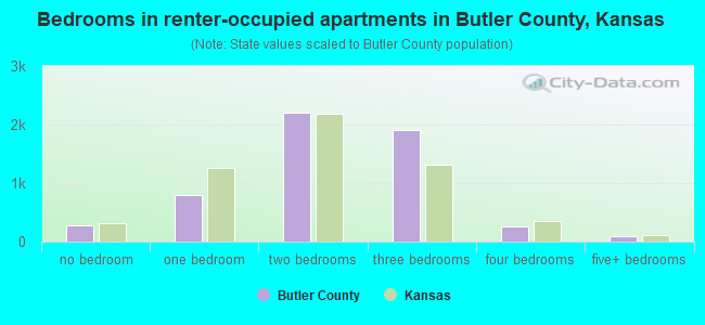 Bedrooms in renter-occupied apartments in Butler County, Kansas