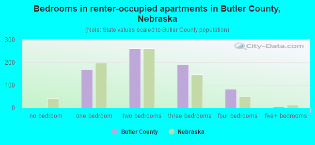 Bedrooms in renter-occupied apartments in Butler County, Nebraska