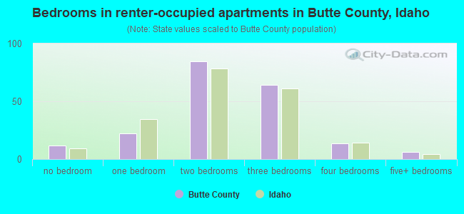 Bedrooms in renter-occupied apartments in Butte County, Idaho