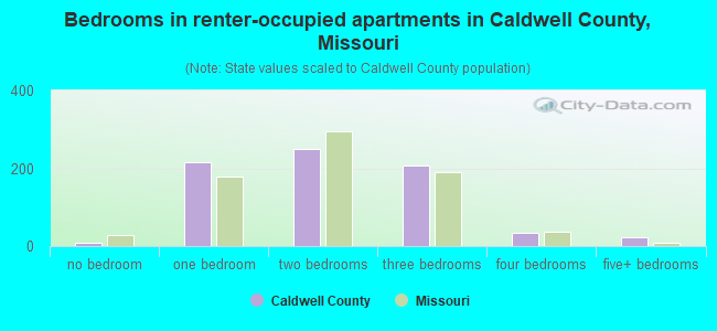 Bedrooms in renter-occupied apartments in Caldwell County, Missouri