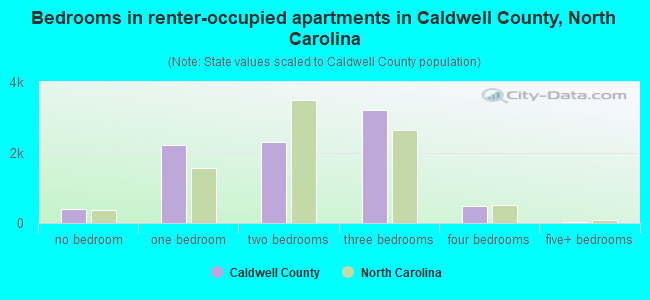 Bedrooms in renter-occupied apartments in Caldwell County, North Carolina