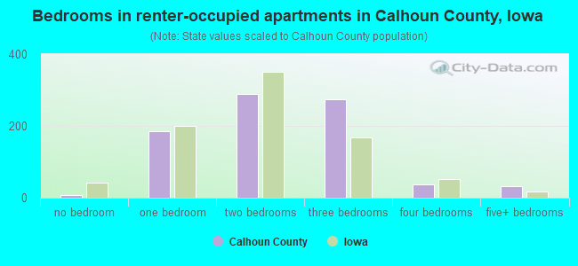 Bedrooms in renter-occupied apartments in Calhoun County, Iowa