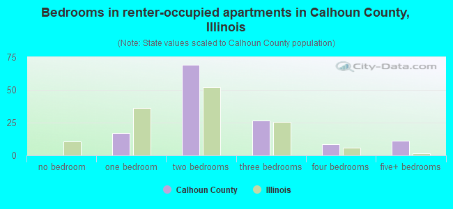 Bedrooms in renter-occupied apartments in Calhoun County, Illinois