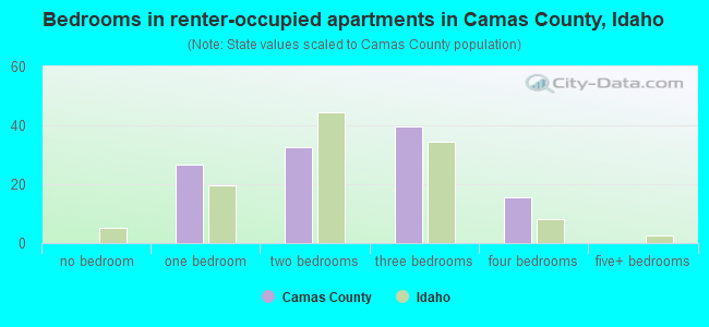 Bedrooms in renter-occupied apartments in Camas County, Idaho