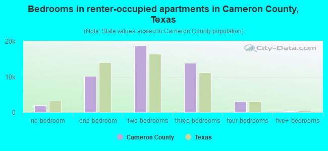 Bedrooms in renter-occupied apartments in Cameron County, Texas