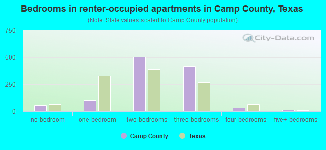 Bedrooms in renter-occupied apartments in Camp County, Texas