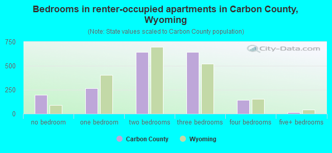 Bedrooms in renter-occupied apartments in Carbon County, Wyoming