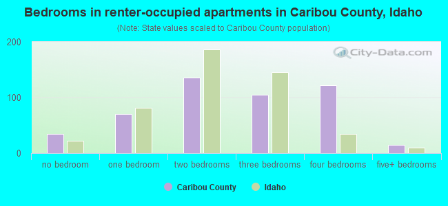 Bedrooms in renter-occupied apartments in Caribou County, Idaho