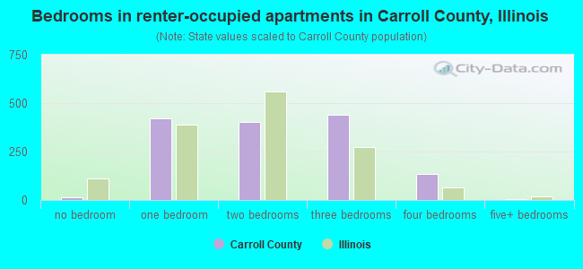 Bedrooms in renter-occupied apartments in Carroll County, Illinois