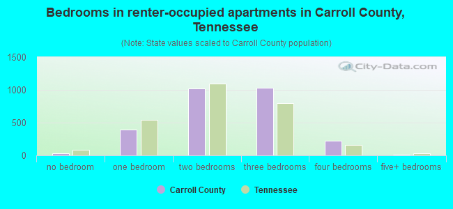 Bedrooms in renter-occupied apartments in Carroll County, Tennessee