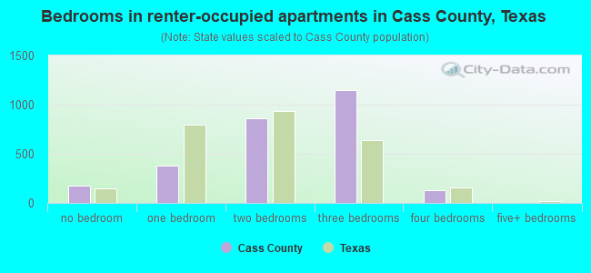 Bedrooms in renter-occupied apartments in Cass County, Texas