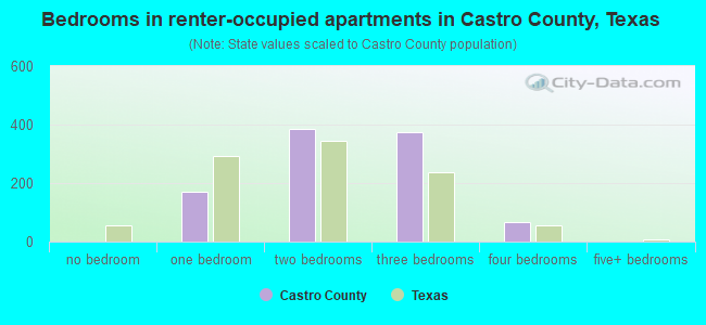 Bedrooms in renter-occupied apartments in Castro County, Texas