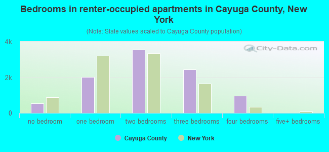 Bedrooms in renter-occupied apartments in Cayuga County, New York