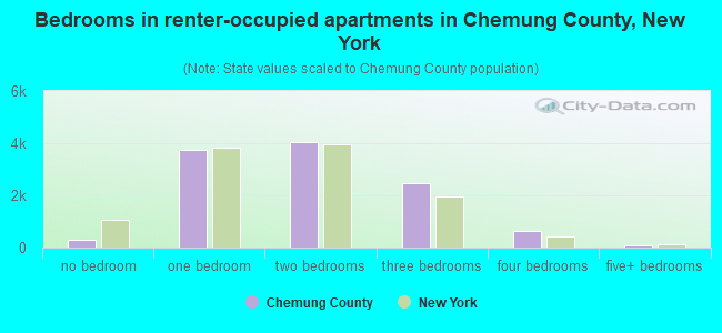 Bedrooms in renter-occupied apartments in Chemung County, New York