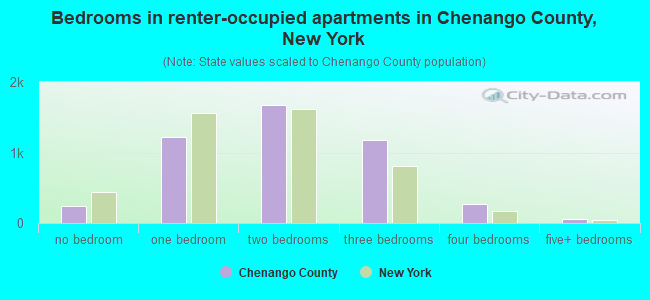 Bedrooms in renter-occupied apartments in Chenango County, New York
