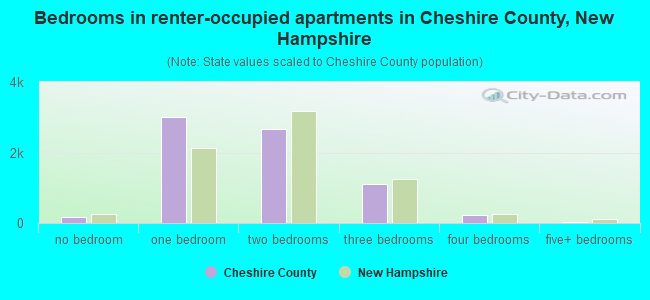 Bedrooms in renter-occupied apartments in Cheshire County, New Hampshire