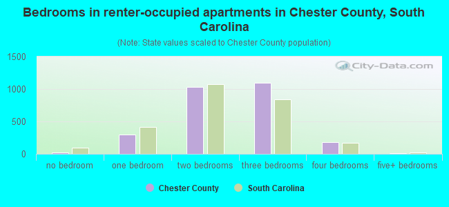 Bedrooms in renter-occupied apartments in Chester County, South Carolina