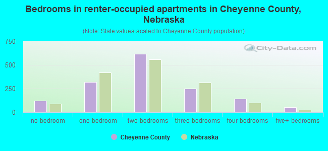 Bedrooms in renter-occupied apartments in Cheyenne County, Nebraska
