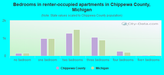 Bedrooms in renter-occupied apartments in Chippewa County, Michigan