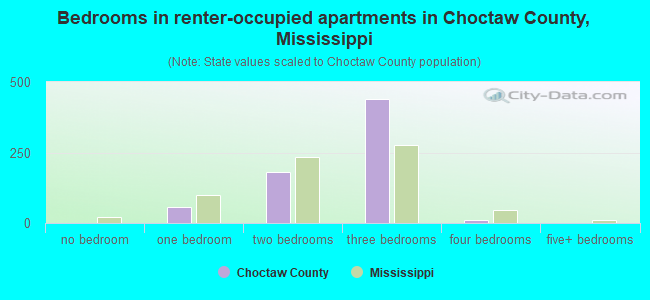 Bedrooms in renter-occupied apartments in Choctaw County, Mississippi