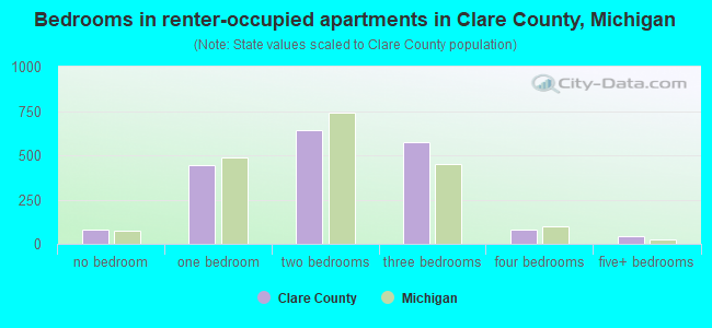 Bedrooms in renter-occupied apartments in Clare County, Michigan