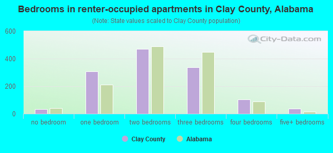 Bedrooms in renter-occupied apartments in Clay County, Alabama