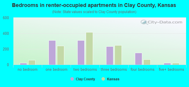 Bedrooms in renter-occupied apartments in Clay County, Kansas