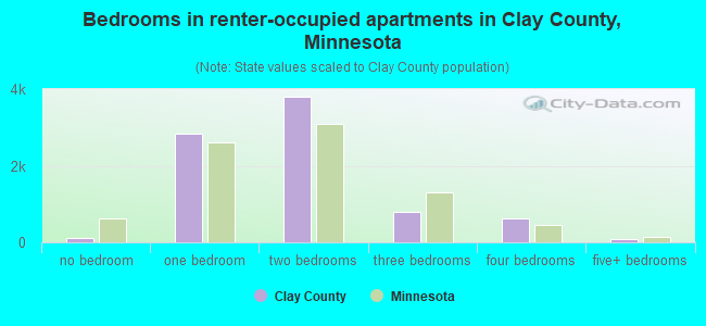 Bedrooms in renter-occupied apartments in Clay County, Minnesota